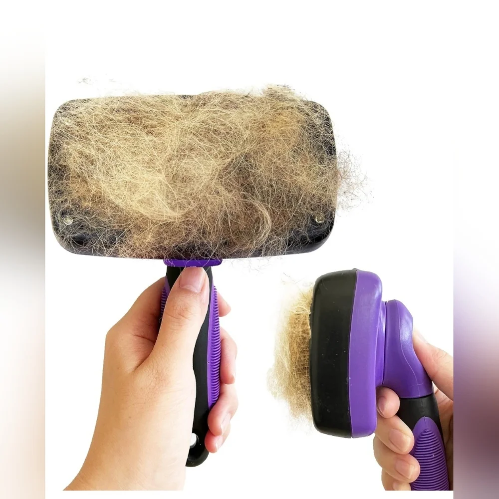 Dog & Cat Brush